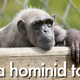 Image for article titled The last time we redefined what it means to be human